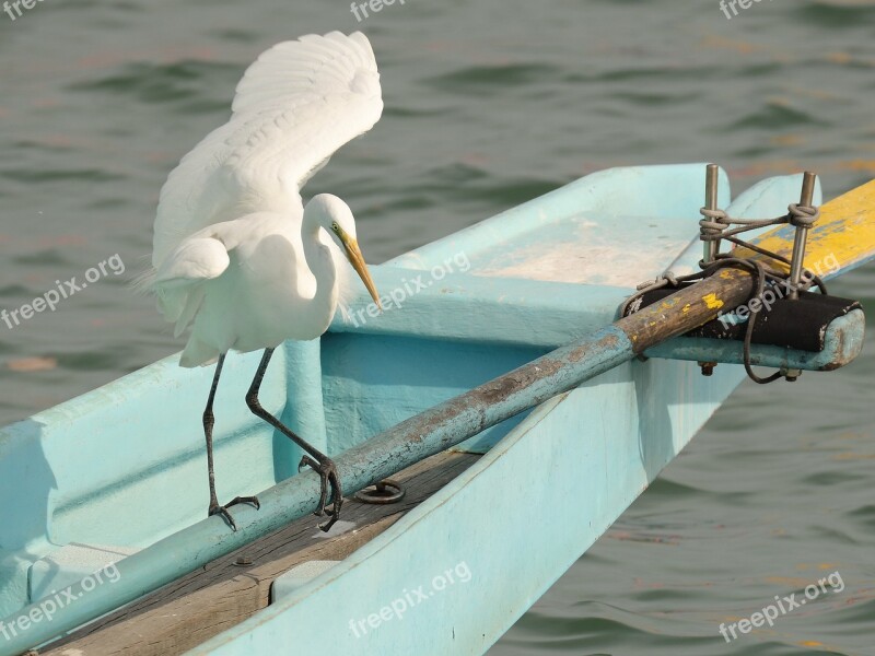 Water Transportation System Travel Boat Sea