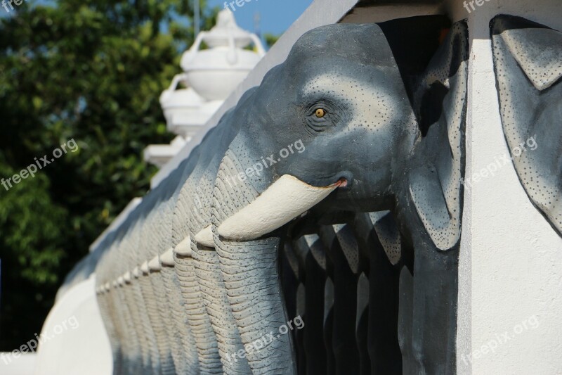 Animal Elephant Pagoda Mahamevnawa Mahaviharaya