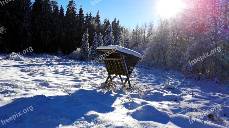 Snow Winter Cold Nature Frost