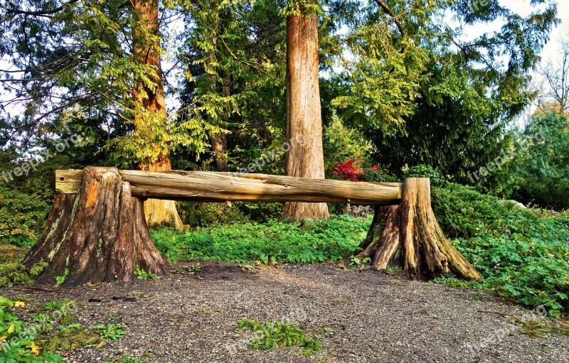 Bench Log Bench Wooden Bench Natural Wood Rest