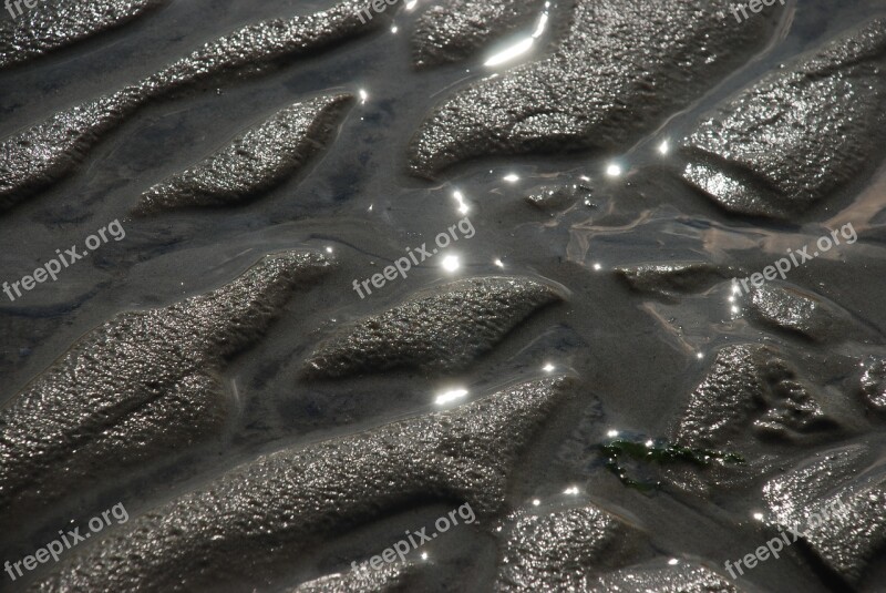 Background Texture Close Up Sand Beach