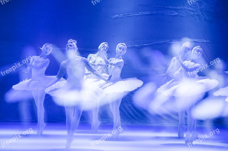 Ballet Performance Dance Free Photos