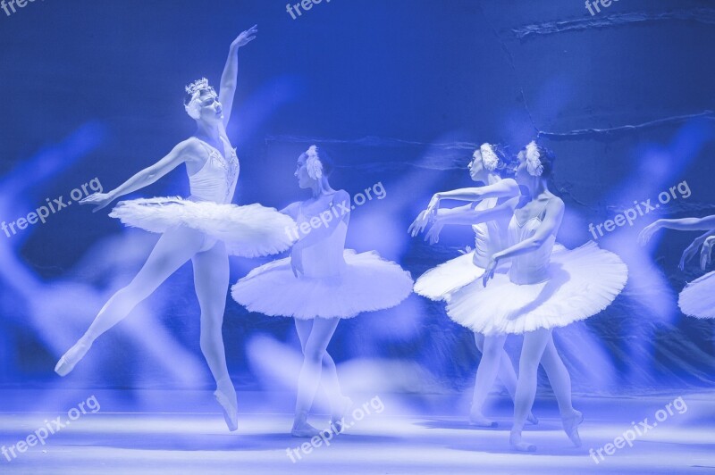 Ballet Performance Dance Free Photos