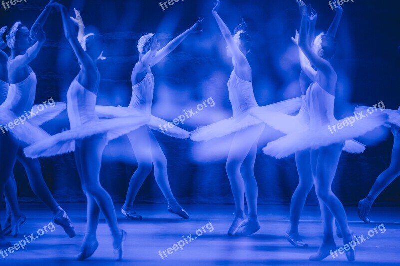 Ballet Performance Dance Free Photos