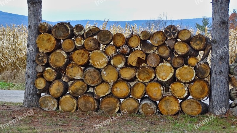 Wood Firewood Stack Tree Mountain