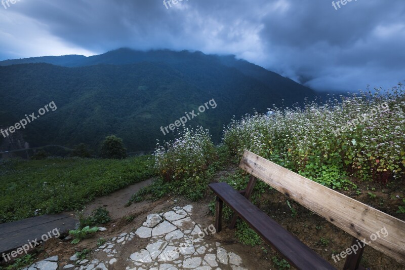 Agriculture Beauty Green Buckwheat Flower Clouds - Sky