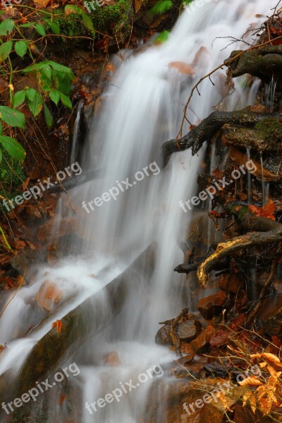 Waterfall Nature Waters Autumn Wood