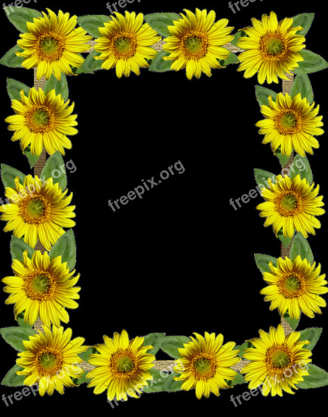 Frame Border Sunflowers Free Photos