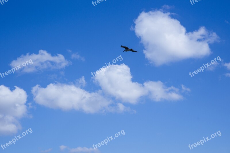 Clouds Blue Nature Summer Cloud