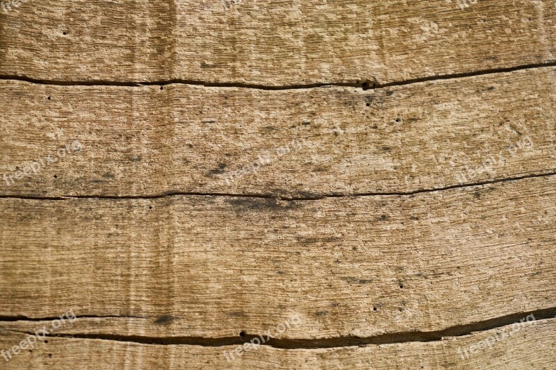 Tree Texture Wood-fibre Boards Macro Detail