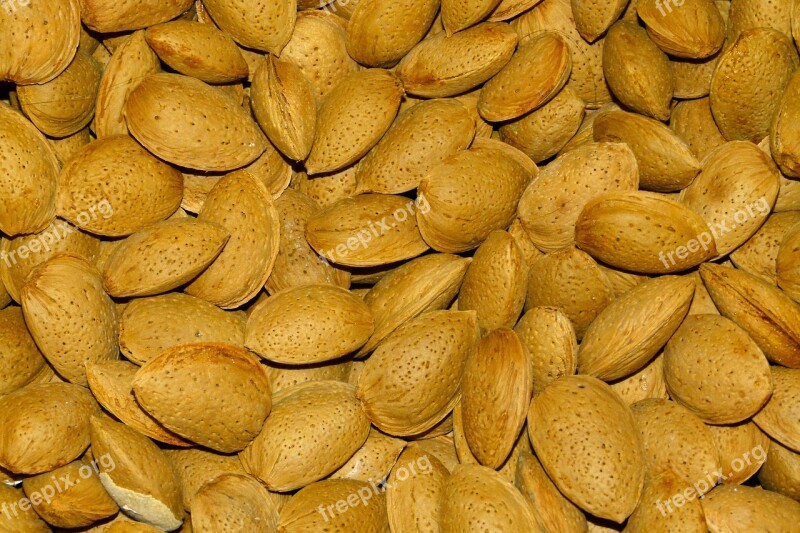 Food Healthy Snack Seed Batch