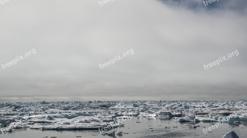 Drift Ice Iceberg Frozen Sea White