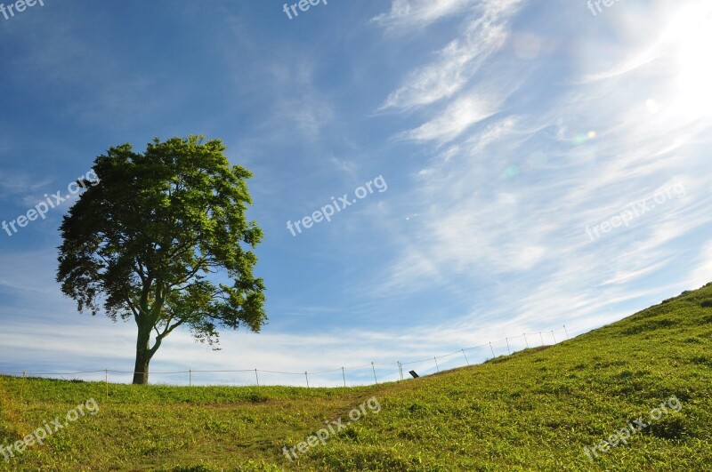 Natural Views From The Top Wood Landscape Grass