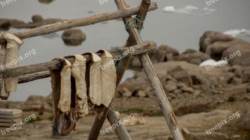 Fish Catch Drying Fish Wood Wooden