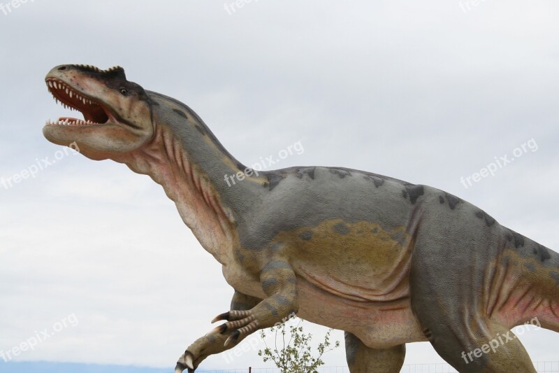 Reptile Dinosaur Animal Nature Animal World