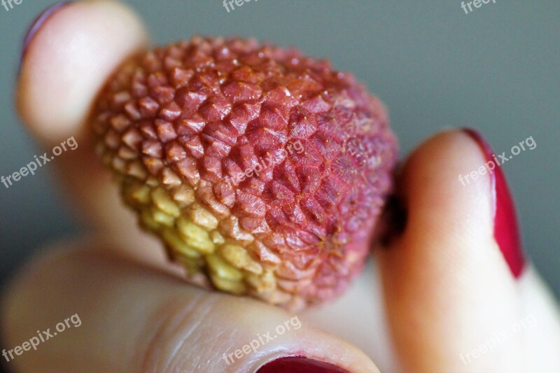 Lychee Litchi Asian Exotic Tropical