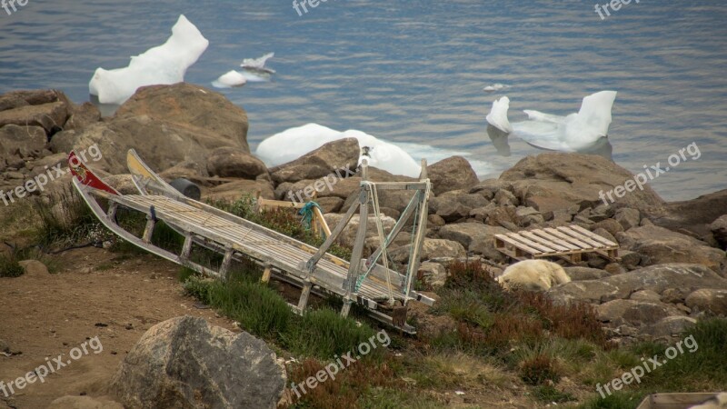 Sled Dog Sled Greenland Summer Arctic