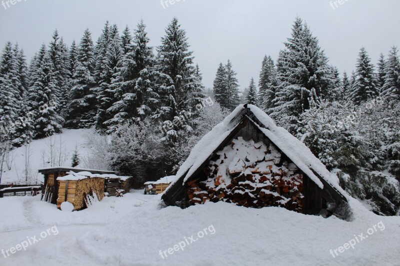 Snow Winter Cold Wood Ice