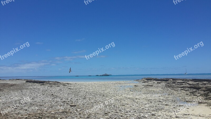 The Body Of Water Nature Sea Heaven Beach