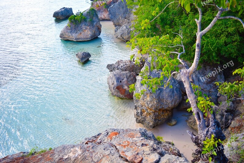 Body Of Water Nature Summer Plant Tree