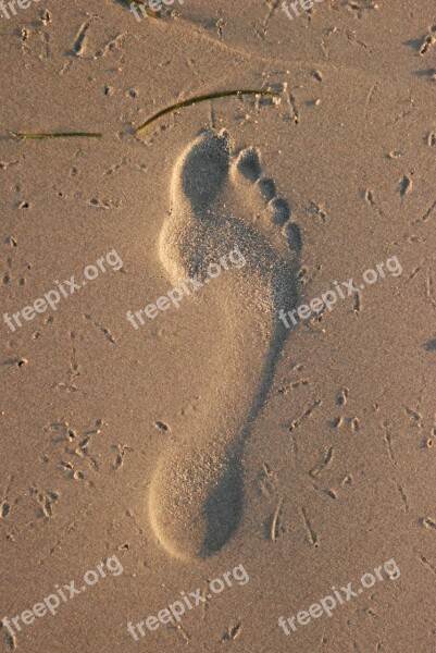 Footprint Sand Beach Coast Step