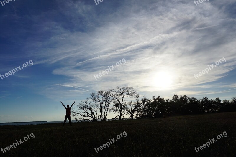 Nature Landscape Panoramic Tree Sky