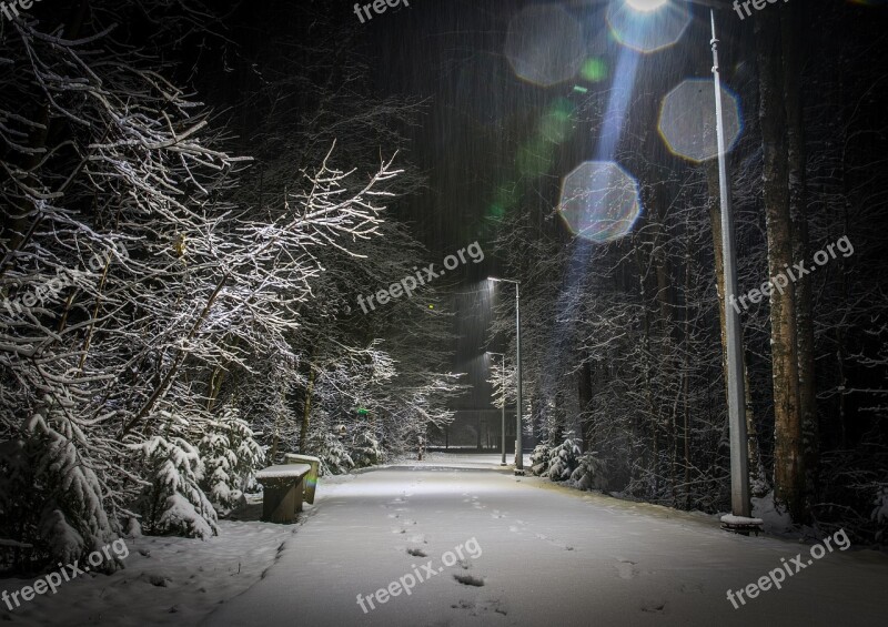 Snow Winter Lights The Glare Tracks