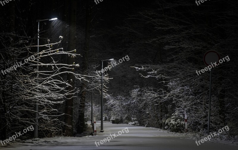 Darkness Tree No One Nature Outdoors