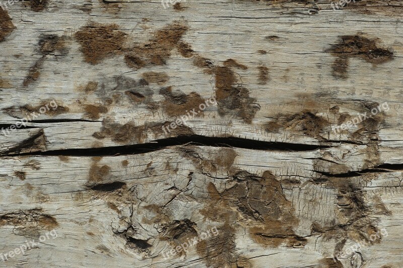 Wood-fibre Boards Texture Nature Macro Detail