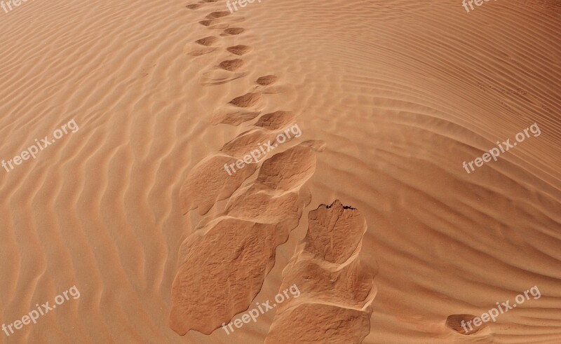 Sand Desert Sandy Arid Footprint