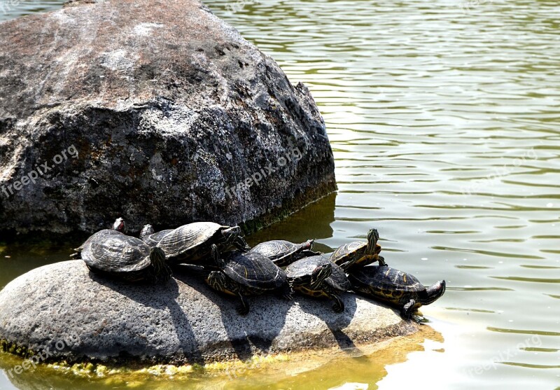 Nature Kennedy Stone River Lake