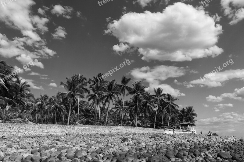 Tree Outdoors Horizontal Nature Panoramic