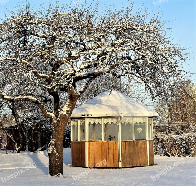 Tree Winter Gazebo Nature Snow