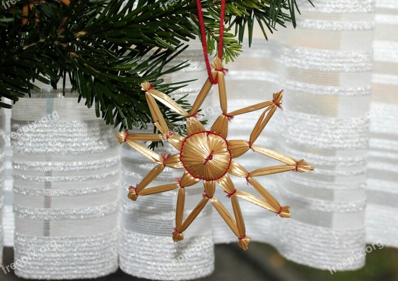 Star Christmas Tree The Ceremony Winter