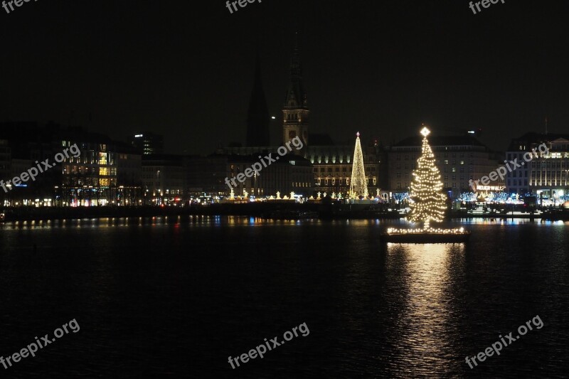 Alster Christmas Tree Abendstimmung Night