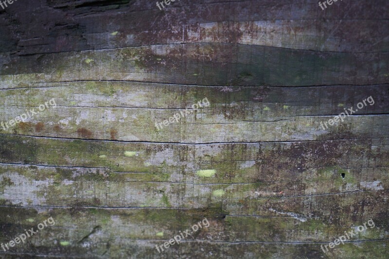 Wood-fibre Boards Texture Parquet Pattern Brown