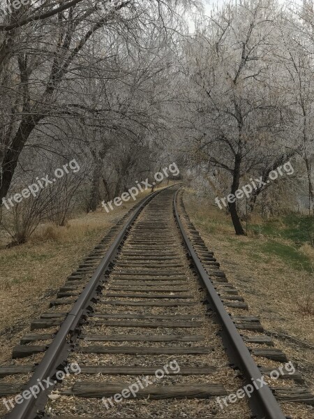 Railway Railroad Track Track Guidance Train