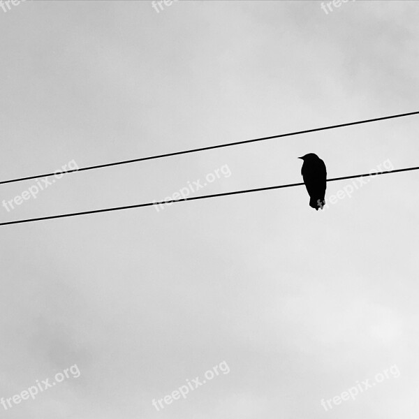 Wire The Dome Of The Sky Electricity Ability High