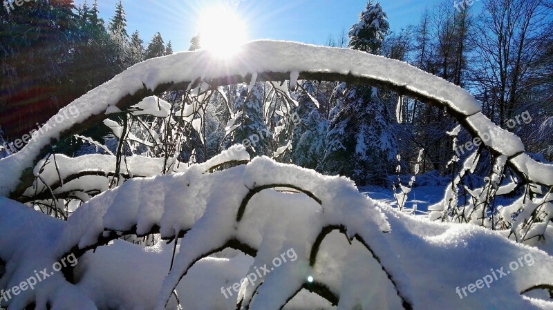 Snow Winter Cold Nature Ice