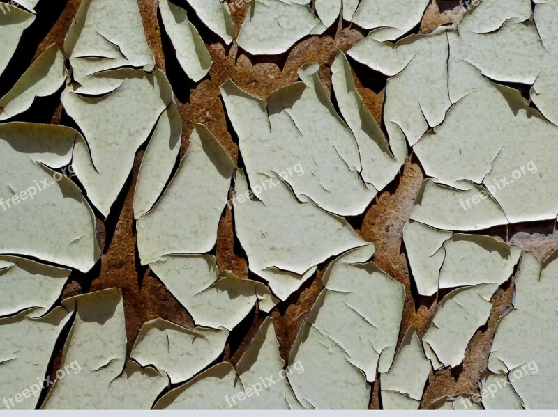 Dry Nature Pattern Background Peeling Paint