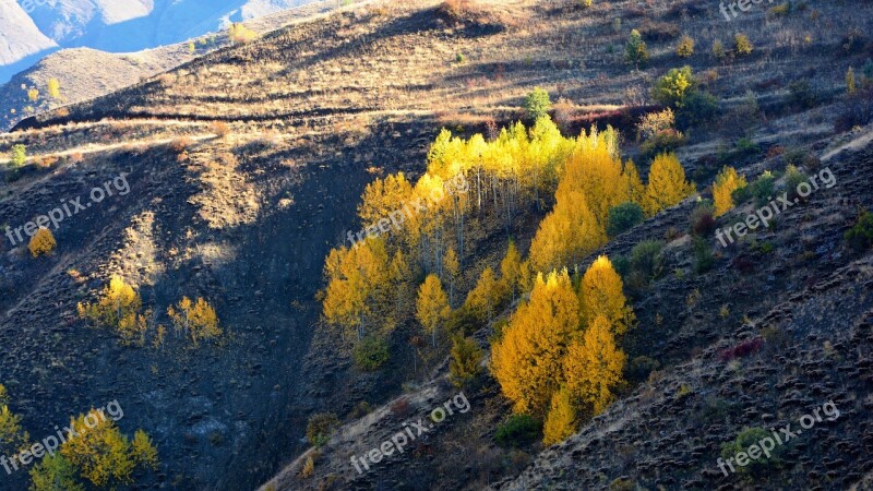 Autumn Season Nature Beautiful Outdoor