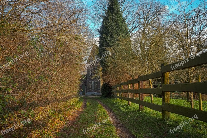 Trees Nature Landscape Wood Sky