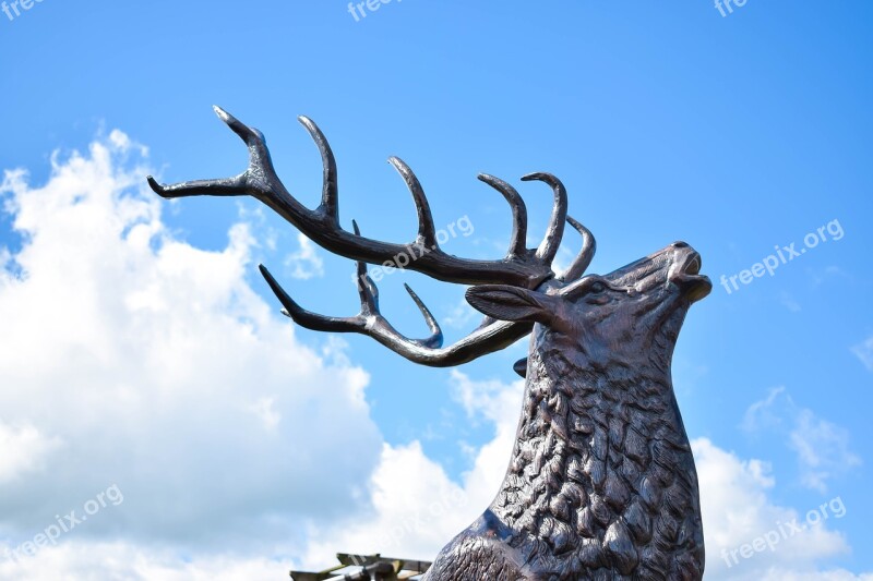 Deer Statue Blue Sky Deer Head Antler