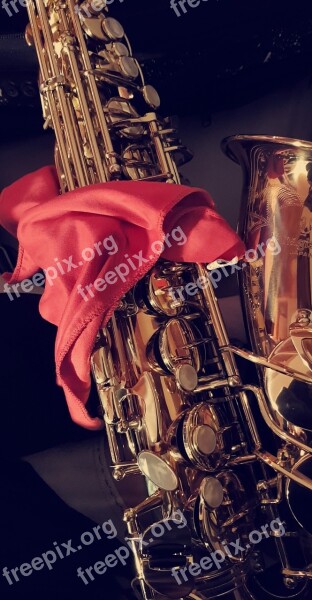 Saxophone Yanagisawa Musical Instrument Wind Instrument Instrument