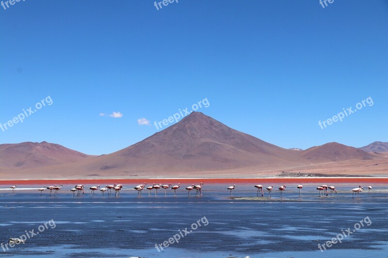 Bolivia Vacations Road Trip Mountain Landscape