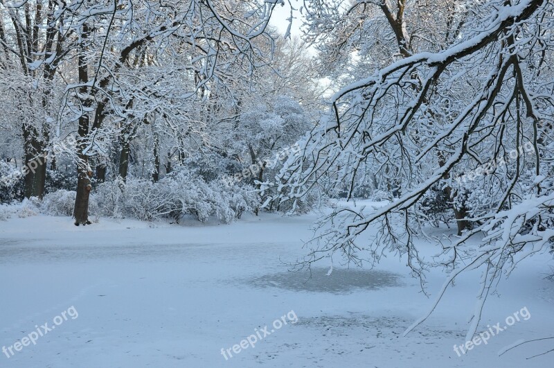 Winter Landscape Nature Recording Free Photos