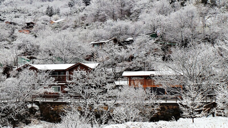 Mountain Village Winter Tree Snow Flower Snow Flower Of The Village Free Photos