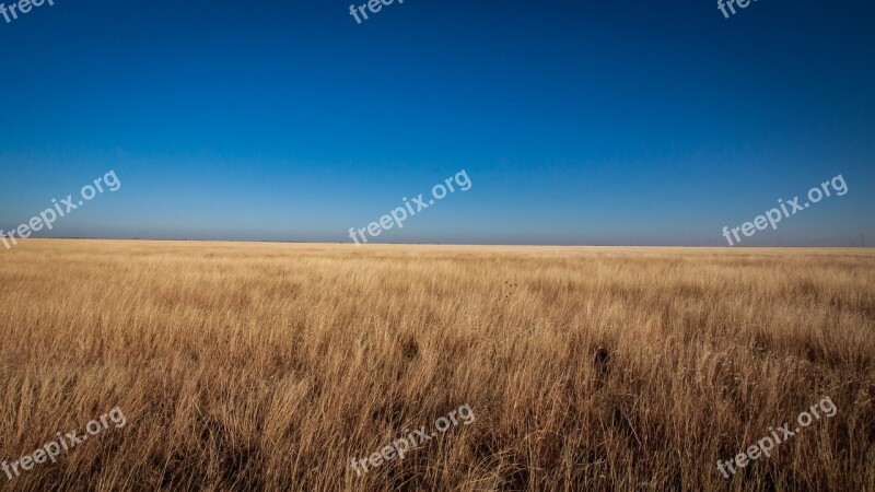 Prairie Grass Grassland Horizon Field