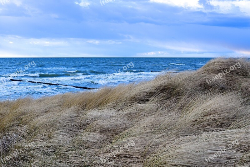 Nature Sea Coast Waters Beach