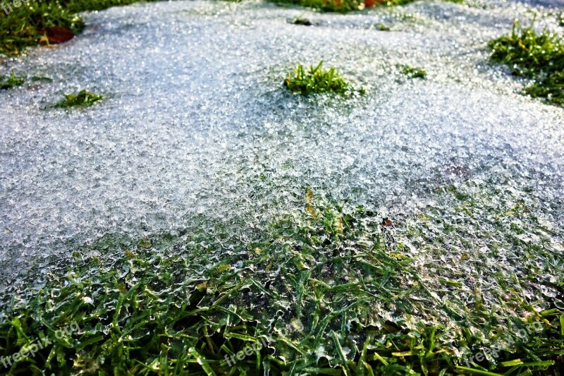 Ice Frozen Frozen Grass Frost Crystal